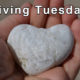 Giving Tuesday Fundraising