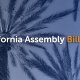 California Assembly Bill 488